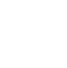 Logo Natan
